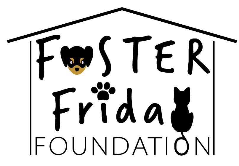 Foster Friday Foundation